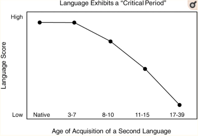 Online Language Classes for kids